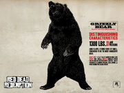 Grizzly Bear