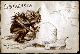 Los Chupacabras