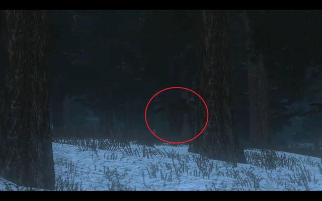 File:Sasquatch4.jpg