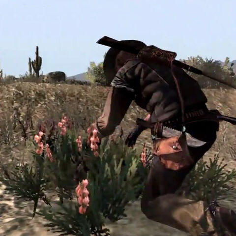 File:Rdr red sage.jpg