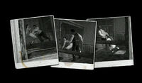 Rdr blackmail photos.jpg