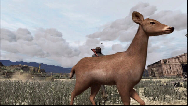 File:Deer-at-Critchleys-Ranch.jpg