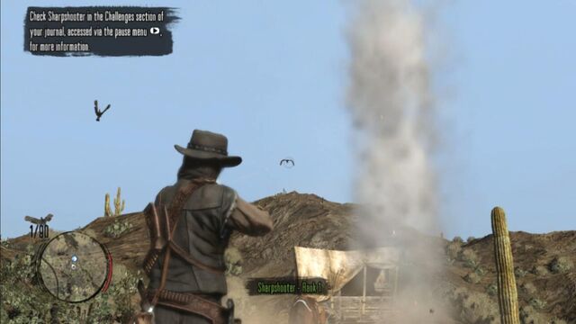 File:Sharpshooter hunting birds.jpg