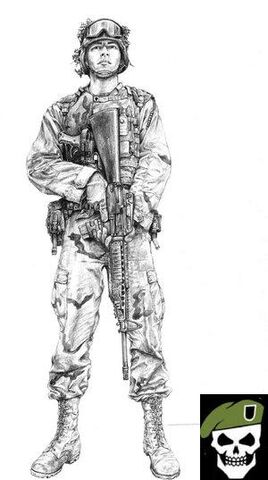 File:Sentry.jpg