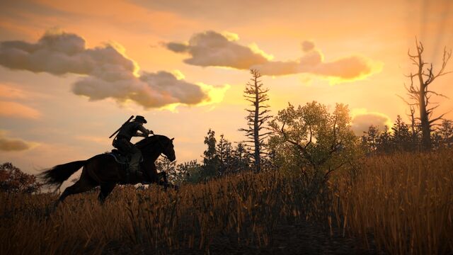 File:Rdr horse07.jpg