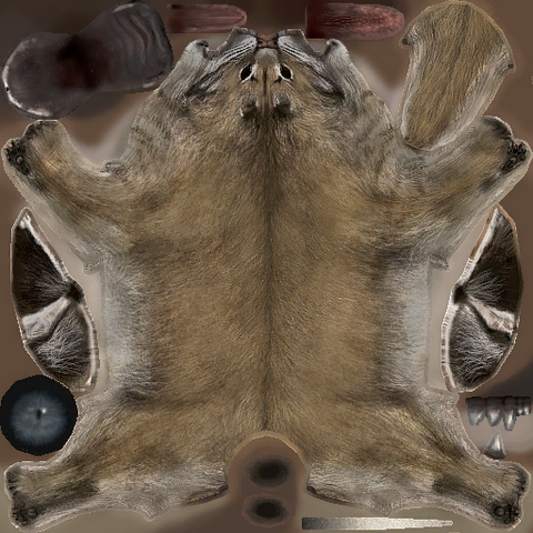File:Bobcatmexico02 d1.png