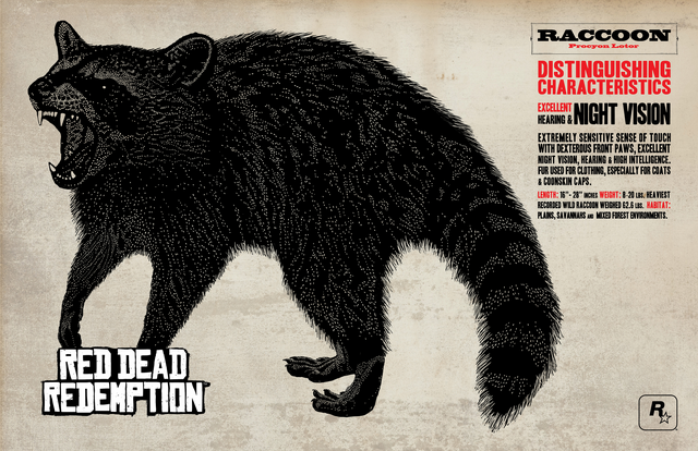 File:Racoon.png