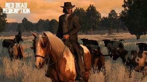 Rdr elegant suit