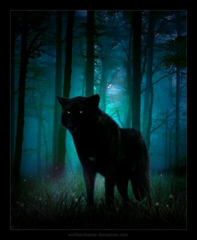 File:Shadowwolfie.jpg