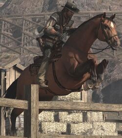 Wildlife.horsejump.jpg