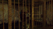 Rdr jailbird undead nightmare.jpg