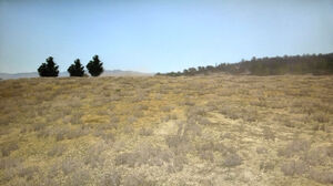 Rdr great plains
