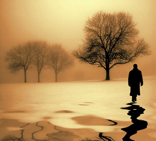 File:The-stranger.jpg