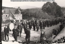 IrishVolunteerForce