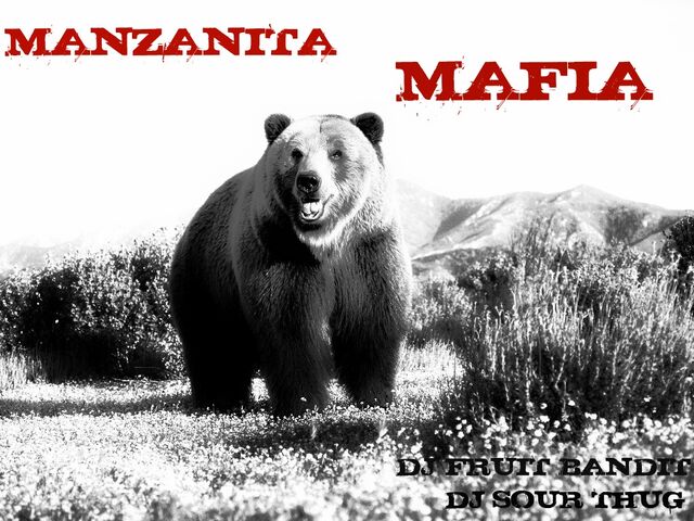 File:BEARSRSRRS.jpg