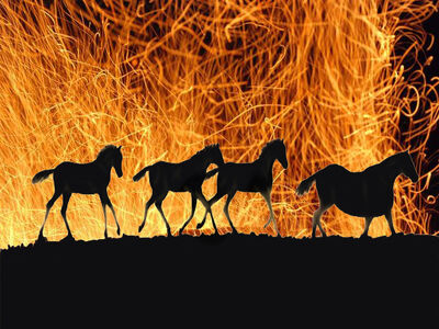 Sparks Group