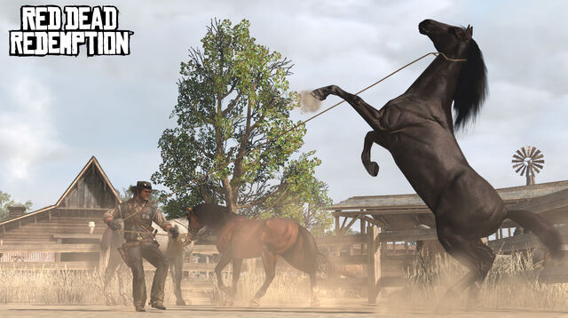 File:Rdr horse12.jpg