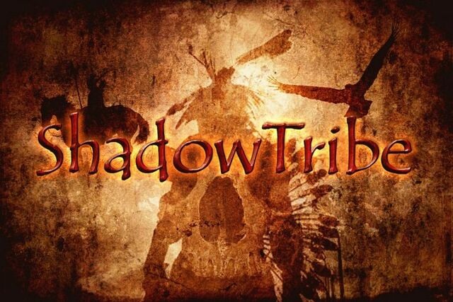 File:ShadowTRIBE4.jpg