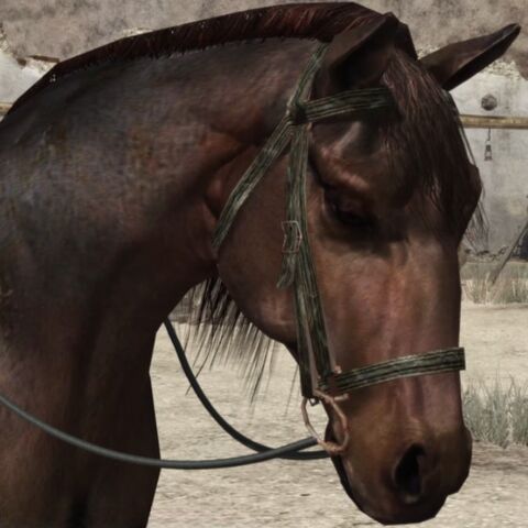 File:Rdr lucy.jpg