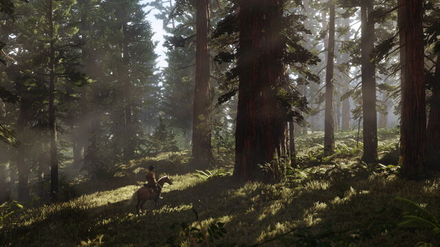 File:RedDeadRedemption2-SS2.jpg