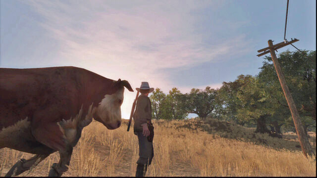 File:Bull-04.jpg