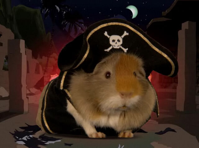 File:Arrrg guinea pirat.jpg