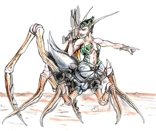 Ants