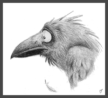 Plik:Raven by Skia.png