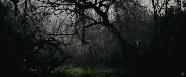 File:Trailer2-02.jpg