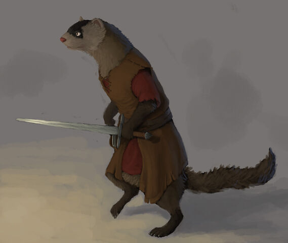 File:Anotherferret.jpg