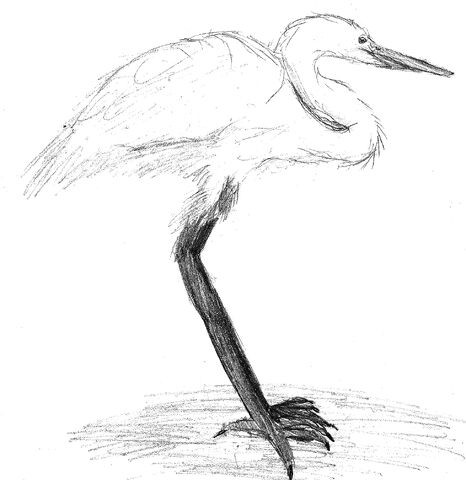 File:Goliath, not in costume.jpg