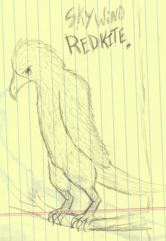 File:For Skywind.jpg