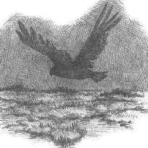 File:Sircolo by Sean Rubin.jpg