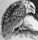 Skarlath