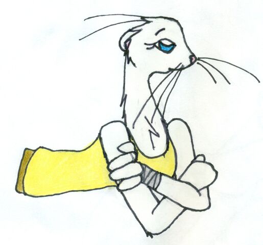 File:Meeka6 by Ferretmaiden.jpg