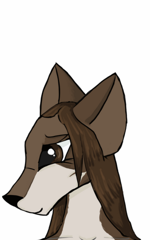 File:Lennprofile.png