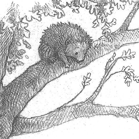 File:Wiggles by Sean Rubin.jpg