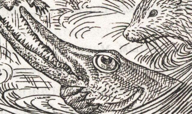 File:Riverwolf.jpg