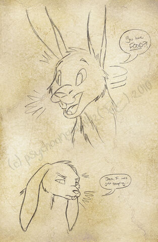File:Random hare.jpg