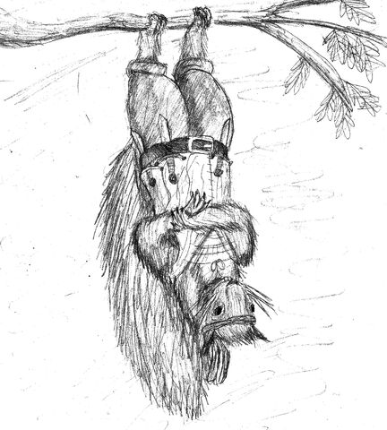 File:Rangval the Rogue.jpg
