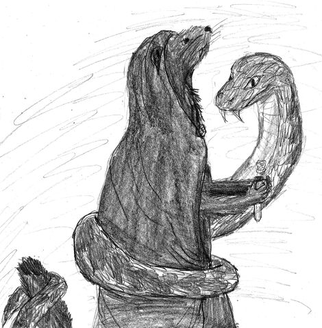 File:Weasel and Adder.jpg