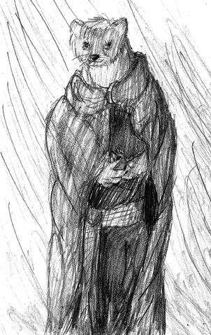 File:Weasel for Salem.jpg