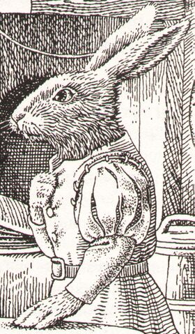 File:Big Oxeye.jpg