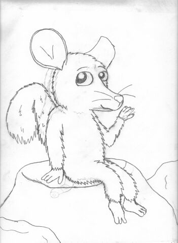 File:Rufus.jpg