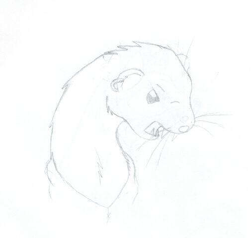 File:SageFerret by Ferretmaiden.jpg