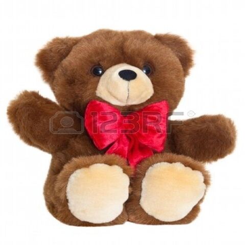 File:Mr Snuggle Bear.jpg