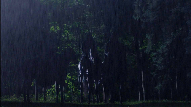 File:Riders.png