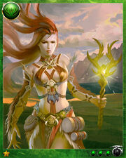 Shaman2