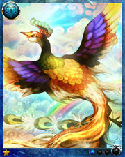 Rainbow Bird0