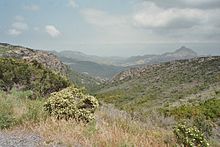 220px-Macchia01.jpg